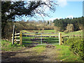 Footpath to Twelve Acre Copse, Ansty Coombe