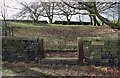 Shewbread Quaker Burial Ground