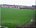 Housing Estate in Chirk