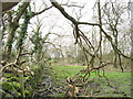 The lower part of the Cefn Gwyn path