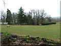 Pasture Land at Croyard