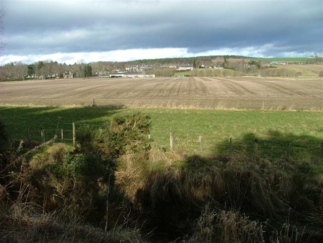 Fields beside Bayhead Wood