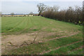 Farmland near Pinwall