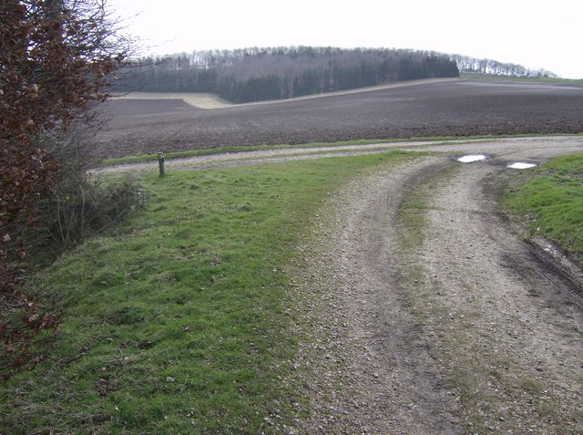 Byway on Great Litchfield Down