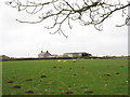 The line of the Dinorwig Quarry railway trackbed across one of the fields of Cefn Gwyn Farm