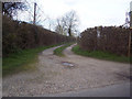 Footpath near Todber