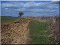 ST7917 : Field edge bridleway to Toogoods Farm from White Way Lane by Maigheach-gheal