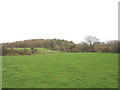 Looking across pasture land towards the second Ty