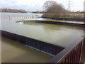 Nazeing Labyrinth Weir