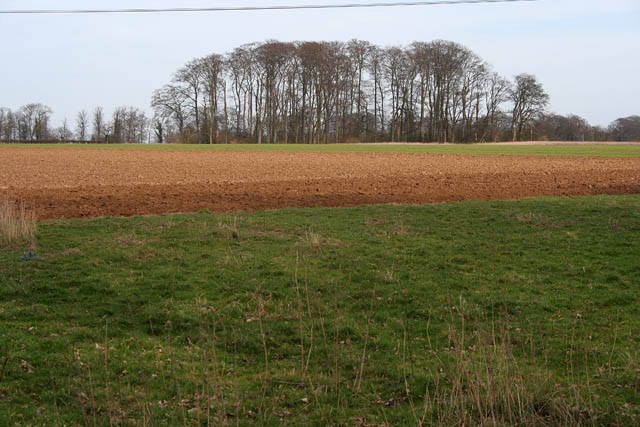 Farmland at Belton Ashes