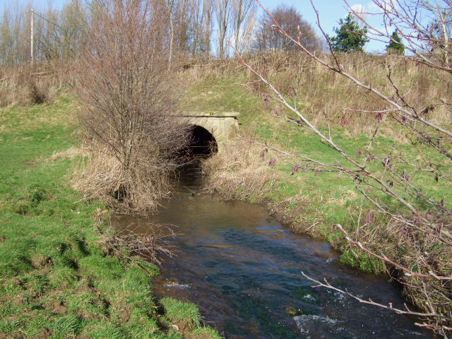 Warney Brook