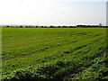 Farmland south of Lower Road