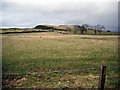 NO3055 : Sheep grazing below The Carrach by Gordon Brown