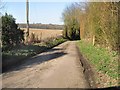 The road from Wickham Bushes