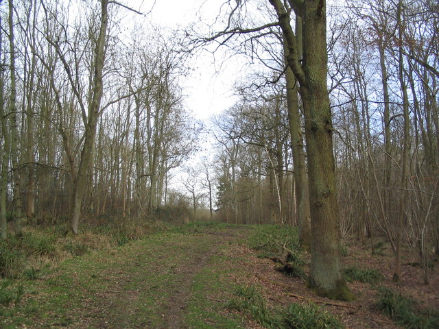 Geddington Chase Wood (northern end) © Tim Heaton cc-by-sa/2.0 ...