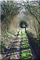 Tunnel to North Hill Farm