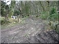 Gate entrance to Park Wood