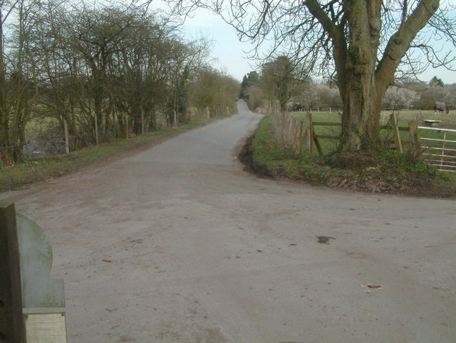 Margery Lane