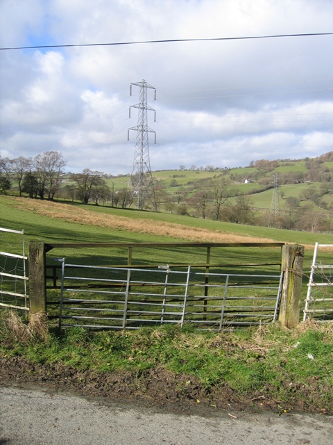 Field Gate and Pylon near Bryneglwys