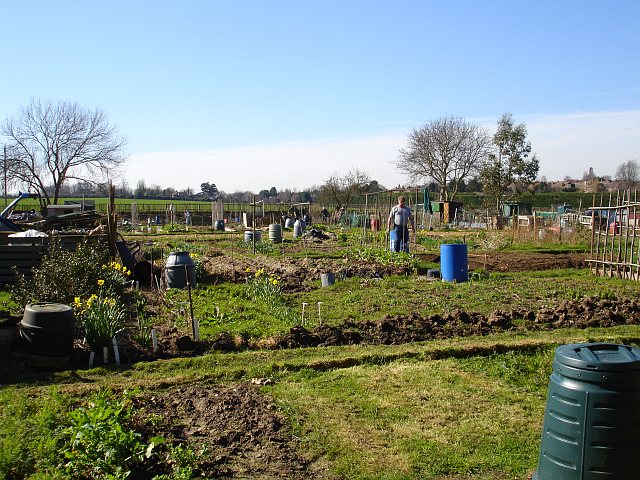 Allotments on Riddles Road