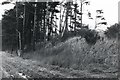 Balbeuchley Incline on the original Dundee to Newtyle Railway, seen from the top