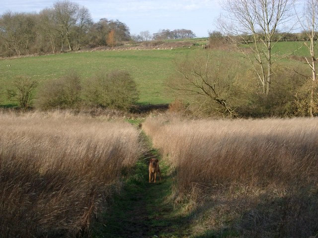 Footpath across beck