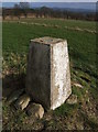 Trig Point at East Cult Farm