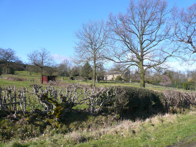 Malthouse Lane - View across field to Cottages
