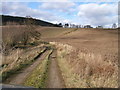 Stubble field