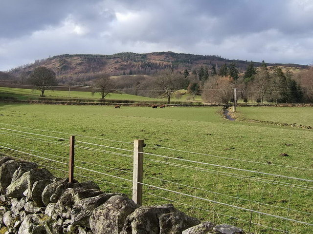 Looking NW to Drumcennant Hill