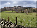 Looking NW to Drumcennant Hill