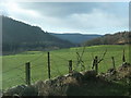 Pastures on the banks of the Tay