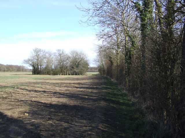 Looking Back on Path to Broaden Lane