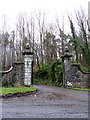 R3948 : Entrance, Curragh Chase Forest Park, Co. Limerick by Peter Gerken