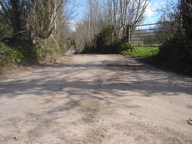 Country lane from junction with another country lane