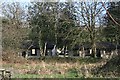 Holiday cottages behind the trees