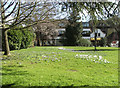 Library Green, Enfield