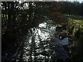 Smestow Brook in the Autumn Sunlight