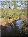 Pant Brook from the road