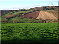 Dawlish Water valley at Ashcombe