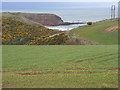 Farmland above Pease Dean