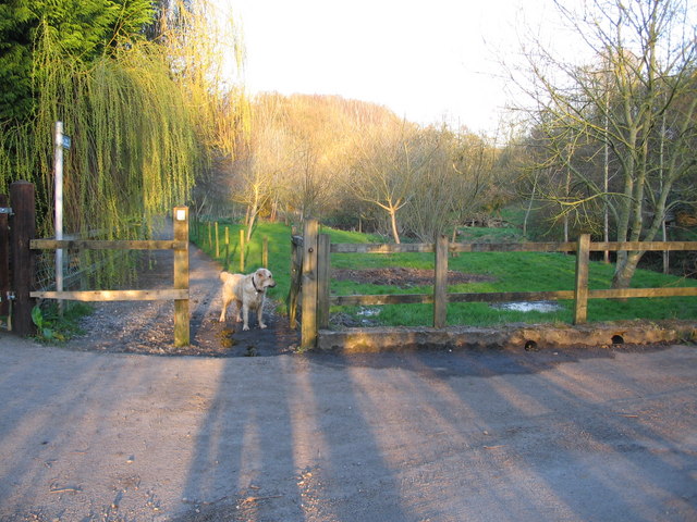 Footpath alongside the Cam Brook