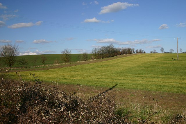 Fields near Clare