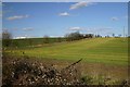 Fields near Clare