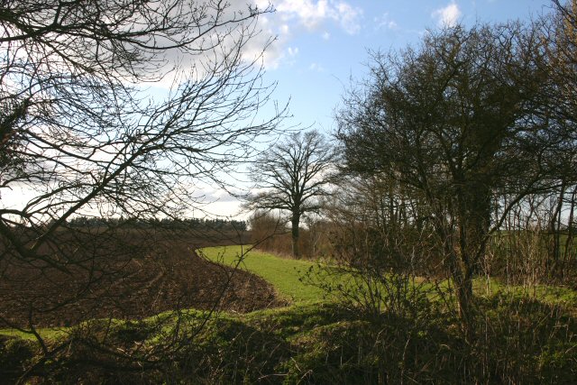 Farmland south of Poslingford