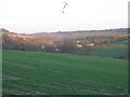 Footpath from Withyditch to Dunkerton