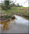 Wistaston Brook, east of Marshfield Bridge