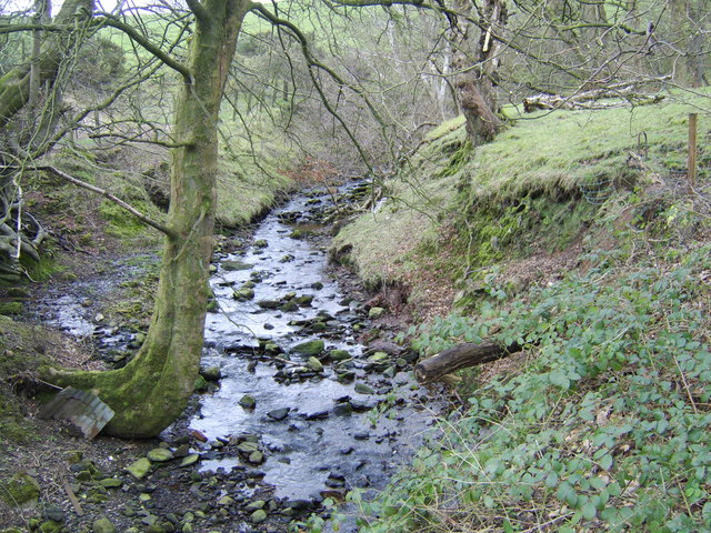 Stream near Blairquhomrie