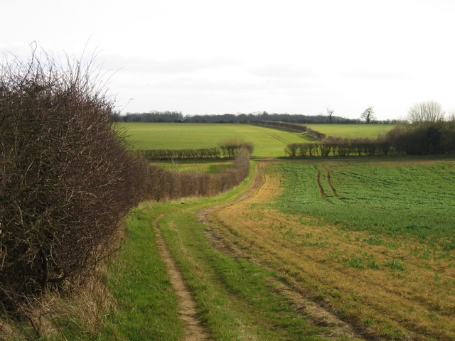 Footpath going south from Greetham to Exton Park