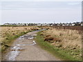 NY0533 : Broughton Moor from Old Opencast Road by Bob Jenkins